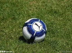 体育,资讯,B体育,B体育,B体育官网,B体育官方,B体育下载