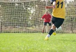 坚定支持,纽卡高层力,挺埃迪,B体育,B体育官网,B体育官方,B体育下载