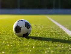 破茧而出,拿撒勒伊里,特夏普尔客,B体育,B体育官网,B体育官方,B体育下载