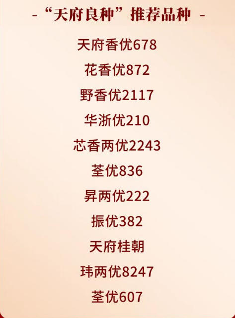 昭通巧家县遭遇38级地震B体育下载：震源，深度达9公里，紧急关注