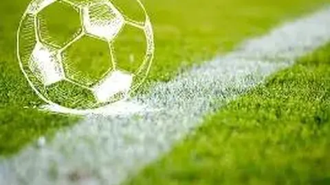 B体育 资讯 113157 7kx