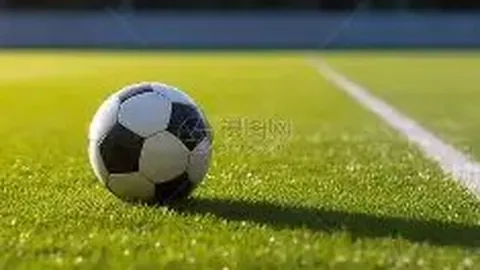 B体育 资讯 133615 g6j