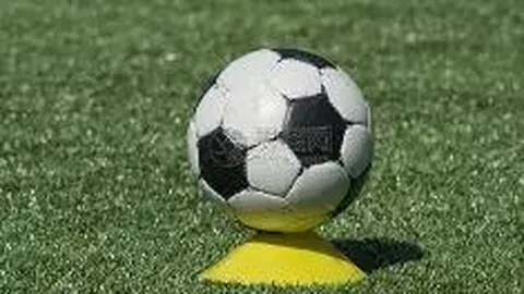 B体育 资讯 134912 mns