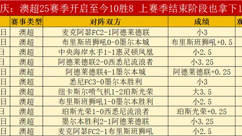 《揭秘矛盾：B费言论与高层意图相左，曼联高层力挺其核心地位》