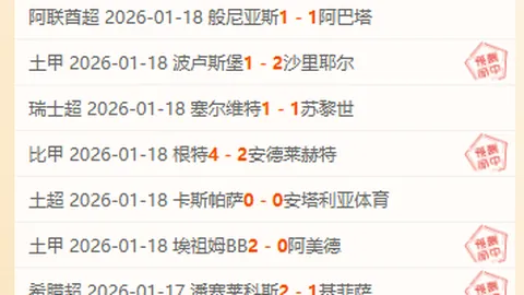 海港队赛季夺冠荣耀，未来征程挑战重重